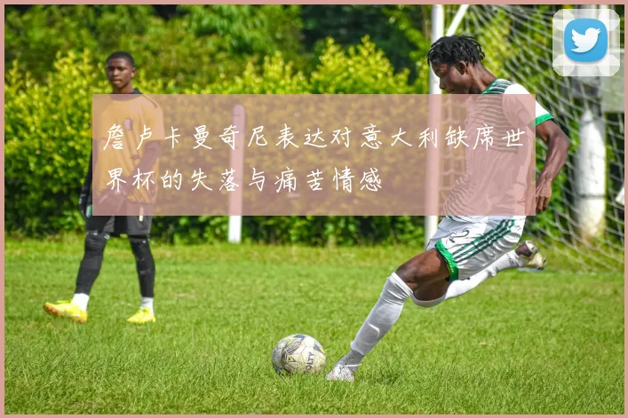 詹卢卡曼奇尼表达对意大利缺席世界杯的失落与痛苦情感